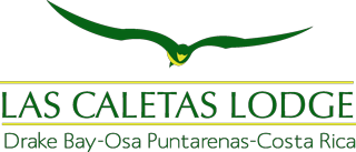 Logo CreatiApps